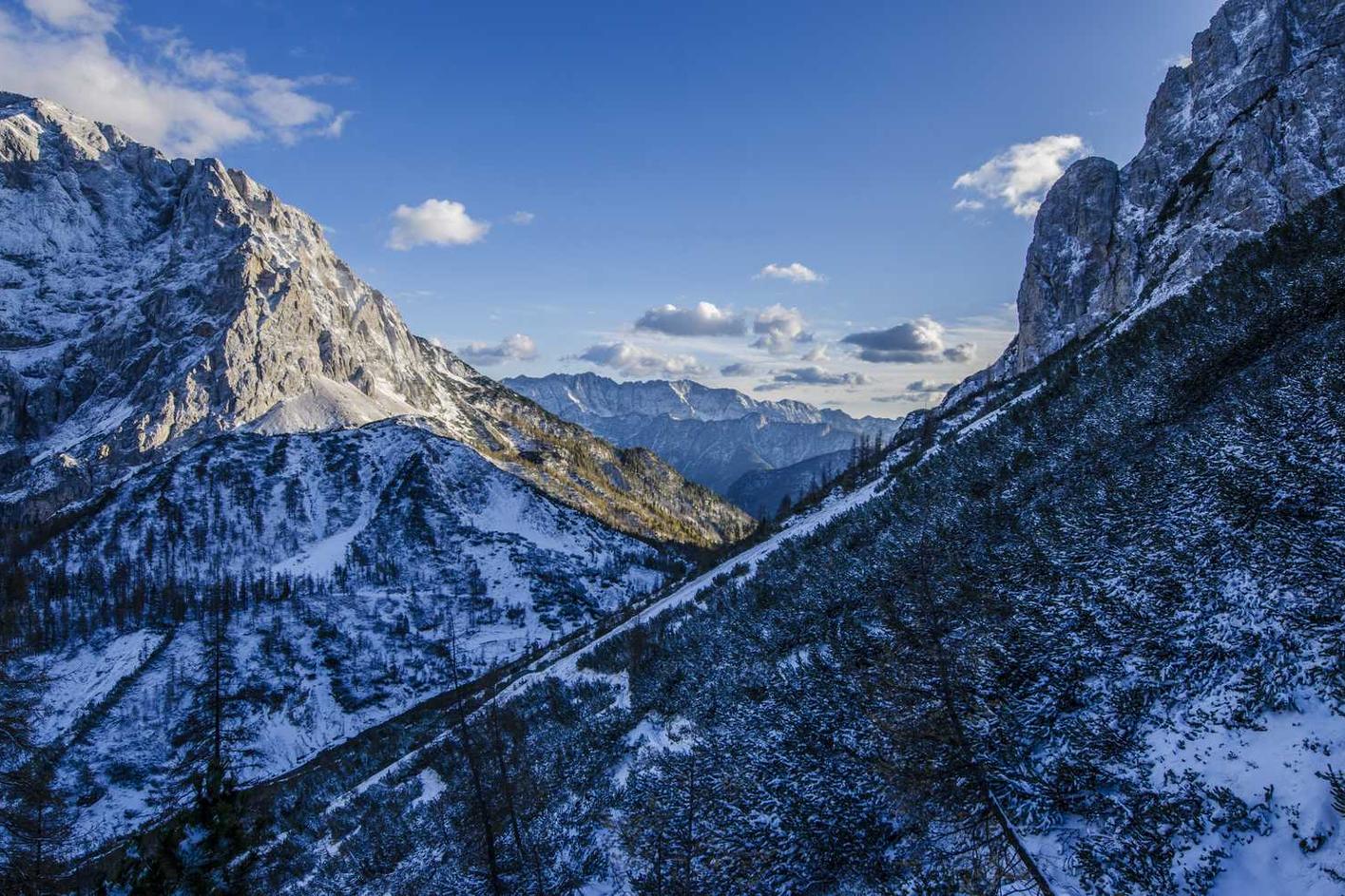 Ut quia consequuntur est nisi